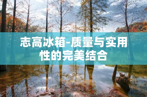 志高冰箱-质量与实用性的完美结合