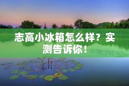 志高小冰箱怎么样？实测告诉你！