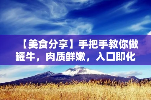 【美食分享】手把手教你做罐牛，肉质鲜嫩，入口即化！