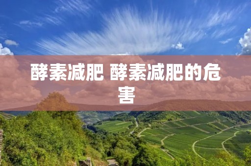 酵素减肥 酵素减肥的危害