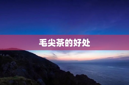 毛尖茶的好处：让你愿意每天喝茶