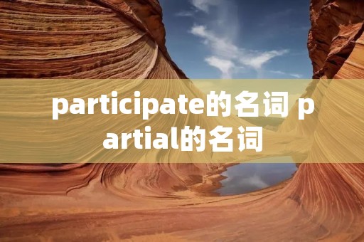 participate的名词 partial的名词