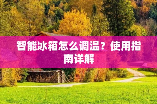 智能冰箱怎么调温？使用指南详解