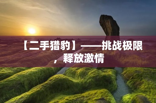 【二手猎豹】——挑战极限，释放**