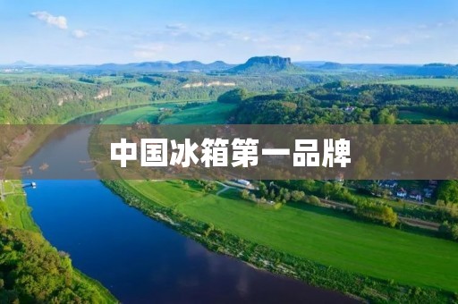 中国冰箱第一品牌：海尔