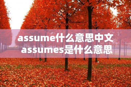assume什么意思中文 assumes是什么意思啊