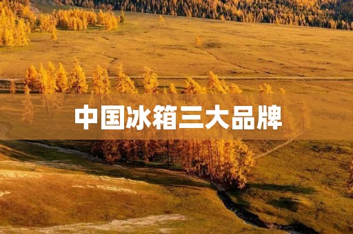 中国冰箱三大品牌：海尔、美的、容声