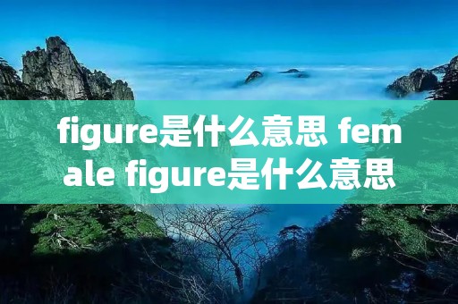 figure是什么意思 female figure是什么意思