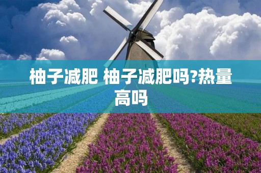 柚子减肥 柚子减肥吗?热量高吗 柚子减肥 柚子减肥吗?热量高吗