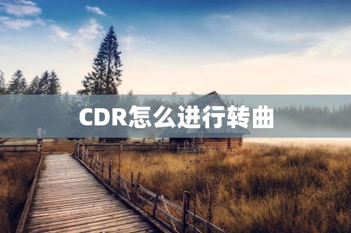 CDR怎么进行转曲:详解 CDR怎么进行转曲:详解