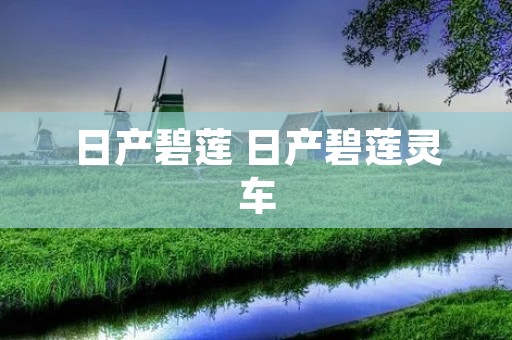 日产碧莲 日产碧莲灵车 日产碧莲 日产碧莲灵车