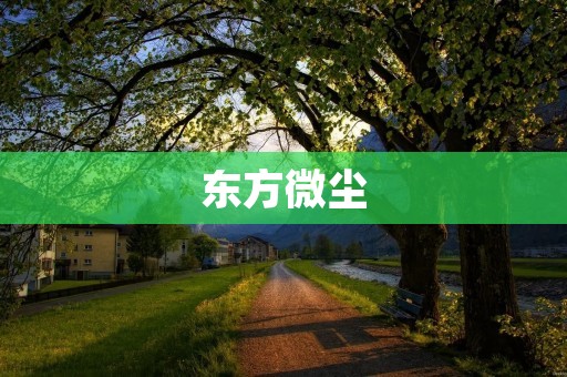 东方微尘：一个神秘而又神奇的存在