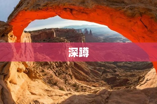 深蹲：为什么它是健身的必备动作？