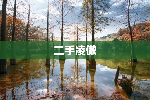 二手凌傲:一辆性价比不错的小型车 二手凌傲:一辆性价比不错的小型车