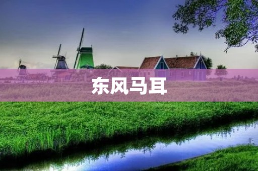 东风马耳：一款值得信赖的商用车