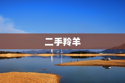 二手羚羊：一款值得信赖的越野利器