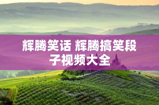 辉腾笑话 辉腾搞笑段子视频大全