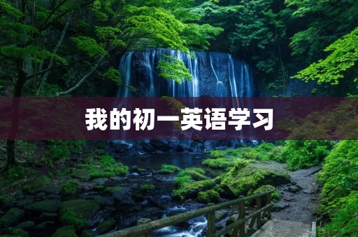 我的初一英语学习 我的初一英语学习