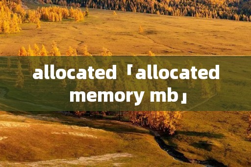 allocated「allocated memory mb」