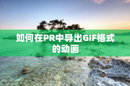 如何在PR中导出GIF格式的动画 如何在PR中导出GIF格式的动画