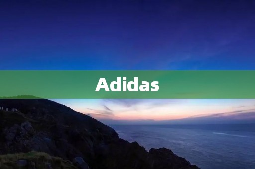 Adidas：从运动品牌到时尚文化