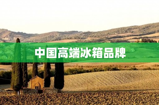 中国高端冰箱品牌：领航者与挑战者