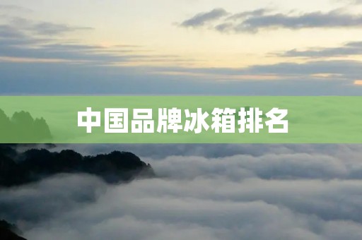 中国品牌冰箱排名：哪些品牌在市场中占据领先地位？
