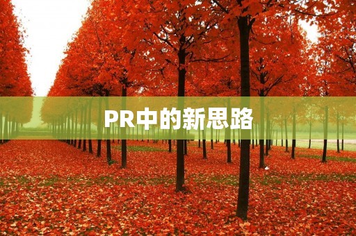 PR中的新思路:录音的应用 PR中的新思路:录音的应用