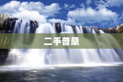 二手普桑:优质小型家用车 二手普桑:优质小型家用车