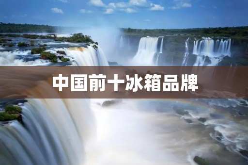 中国前十冰箱品牌：质量与口碑双重保障