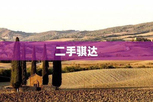 二手骐达：性价比之选