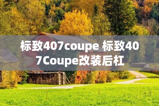 标致407coupe 标致407Coupe改装后杠
