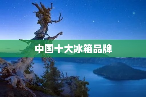 中国十大冰箱品牌:冷藏世界的佼佼者 中国十大冰箱品牌:冷藏世界的佼佼者