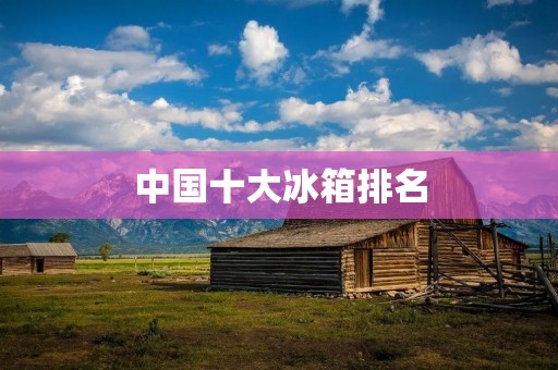 中国十大冰箱排名：品质与性价比的完美结合