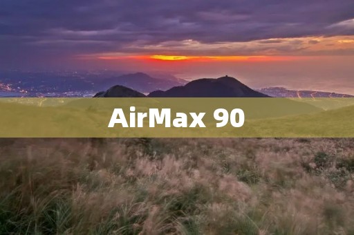 AirMax 90:时尚经典的回归 AirMax 90:时尚经典的回归