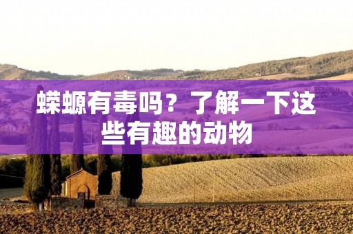 蝾螈有毒吗?了解一下这些有趣的动物