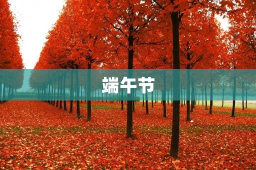 端午节:纪念屈原与传承文化