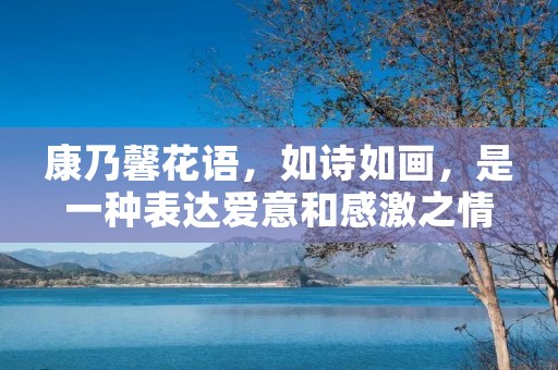 康乃馨花语,如诗如画,是一种表达爱意和感激之情的美丽花卉。在生活中,人们常常用康乃馨来表达自己的情感,而康乃馨的价格也成为了人们关注的话题。那么,康乃馨多少钱一朵呢?