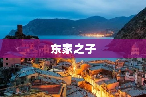 东家之子:一个寻找自我身份的故事 东家之子:一个寻找自我身份的故事