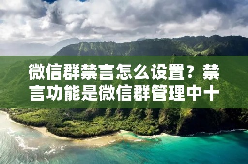 微信群禁言怎么设置？禁言功能是微信群管理中十分重要的一项功能，它可以有效地管理群内成员的言论和行为，保障群内的和谐和秩序。在实际的使用中，禁言功能具有非常广泛的应用场景，如限制某些不良言论的传播，防止群内恶意刷屏和广告轰炸等。那么，微信群禁言怎么设置呢？下面我们将详细介绍。