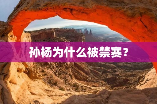 孙杨为什么被禁赛?