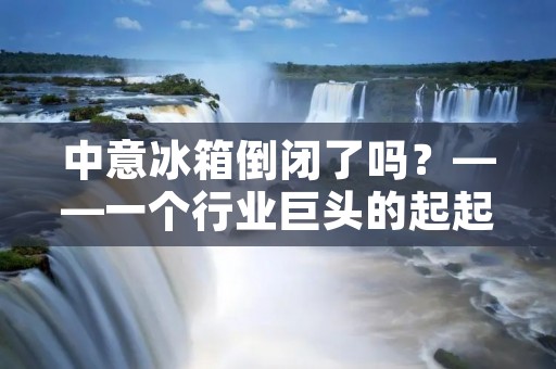 中意冰箱倒闭了吗？——一个行业巨头的起起伏伏