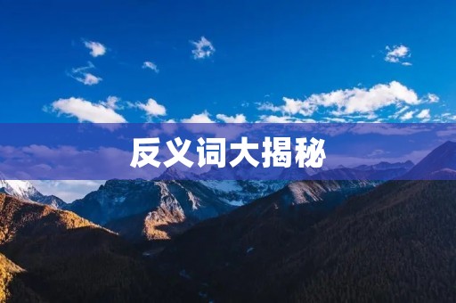 反义词大揭秘:不承认