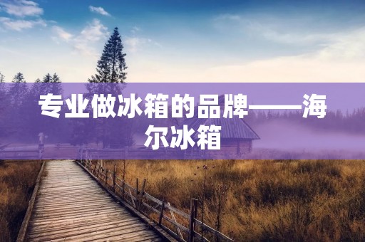 专业做冰箱的品牌——海尔冰箱