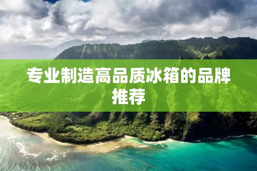 专业制造高品质冰箱的品牌推荐