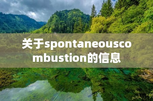 关于spontaneouscombustion的信息 关于spontaneouscombustion的信息