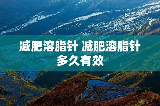 减肥溶脂针 减肥溶脂针多久有效