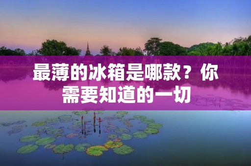 最薄的冰箱是哪款？你需要知道的一切