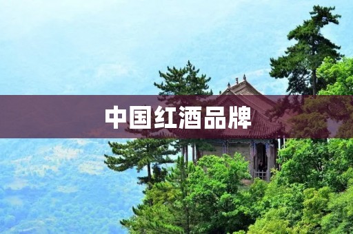 中国红酒品牌:挑战与机遇