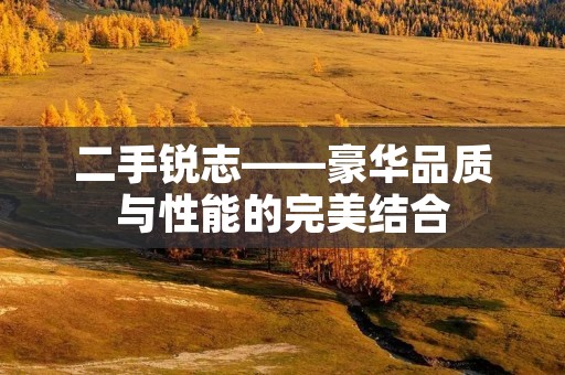 二手锐志——豪华品质与性能的完美结合 二手锐志——豪华品质与性能的完美结合